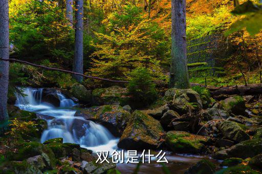 雙創政府該怎么做,雙創"活動要對應總方針創造新業績和水平
