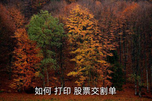 怎么打印股票的資金明細,股票送貨單可在網上查詢