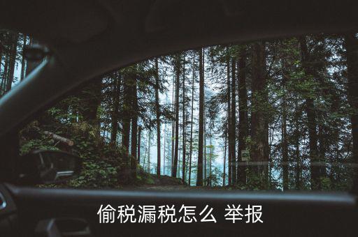 在美國怎么舉報偷稅,違反國家稅收法規可選擇舉報方式