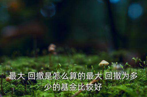最大回撤率怎么計算,購買一件產品后可能出現的最壞情況?