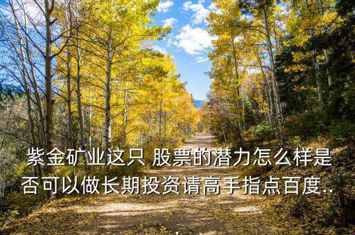  紫金礦業這只 股票的潛力怎么樣是否可以做長期投資請高手指點百度...