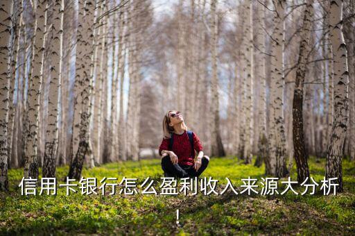 信用卡是怎么贏利的,銀行發行信用卡賺錢主要來源高息