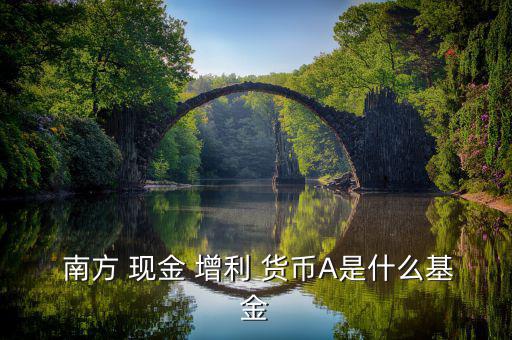  南方 現金 增利 貨幣A是什么基金