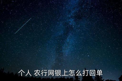 個人 農行網銀上怎么打回單
