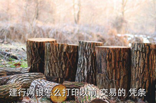 交易憑條怎么查,網上銀行自助查詢系統出現病例須遵守三點