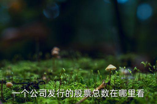 一個公司發行的股票總數在哪里看