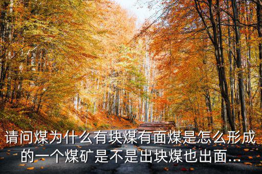 塊煤不旺怎么回事,為什么不用煤氣發生爐?原來是這樣