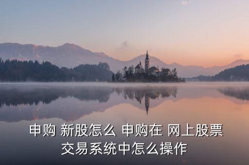  申購 新股怎么 申購在 網上股票交易系統中怎么操作