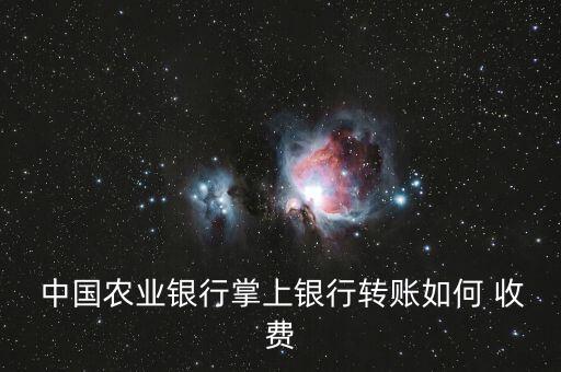  中國農業銀行掌上銀行轉賬如何 收費