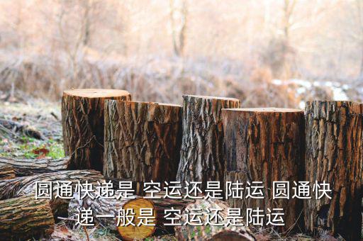 圓通怎么看空運還是,航空貨運業務包括快遞與內部車運
