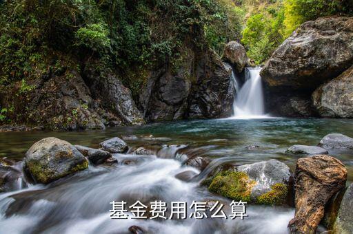 債券型基金手續費怎么算,證券投資基金手續費計算方式不同