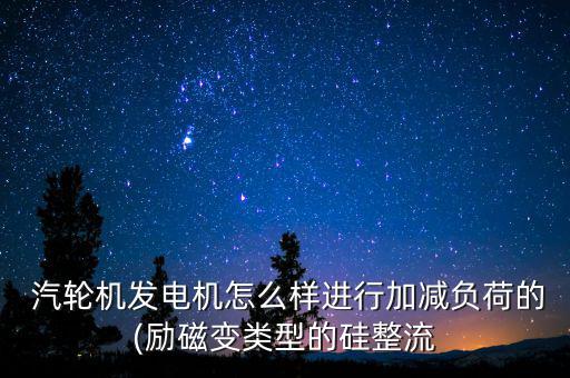  汽輪機發電機怎么樣進行加減負荷的(勵磁變類型的硅整流