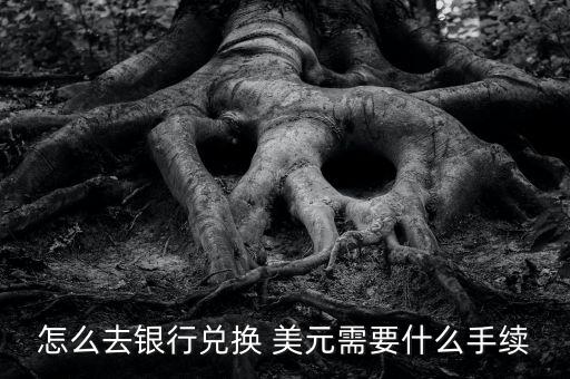 美元怎么換幾內亞法郎,如何在銀行換現金?