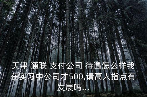天津 通聯 支付公司 待遇怎么樣我在實習中公司才500,請高人指點有發展嗎...
