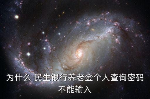 民生銀行企業年金怎么查,商業銀行企業年金查詢個人賬戶1
