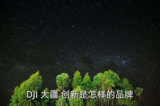 DJI 大疆 創新是怎樣的品牌