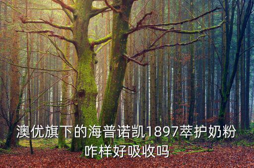 海普凱諾怎么樣,澳優荷蘭奶粉有益菌群平衡有助消化吸收