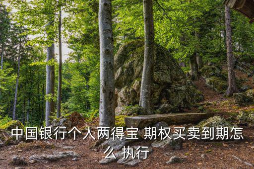 中國銀行個人兩得寶 期權買賣到期怎么 執行