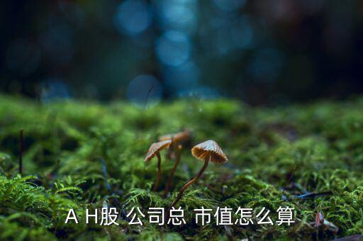 上市公司市值怎么算,股市動態市盈率預測股價