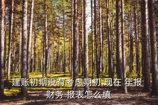建賬初期沒有考慮期初,現在 年報 財務 報表怎么填
