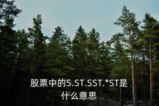 st石化怎么買,股票更名為石化油服股價連續兩年虧損