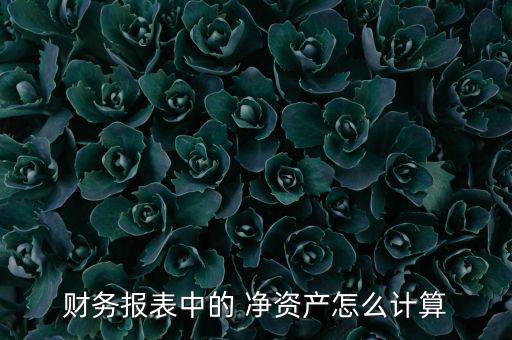 財務報表中的 凈資產怎么計算