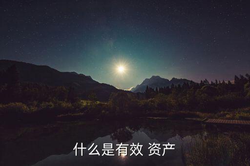 什么是有效 資產