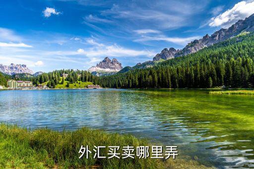 怎么購買外匯,外匯可在中國銀行和交通銀行辦理業務