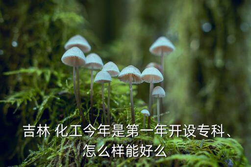吉林康乃爾化工怎么樣,吉林化工學院部分專業近幾年會升本科