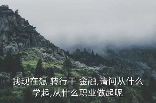 我現在想 轉行干 金融,請問從什么學起,從什么職業做起呢