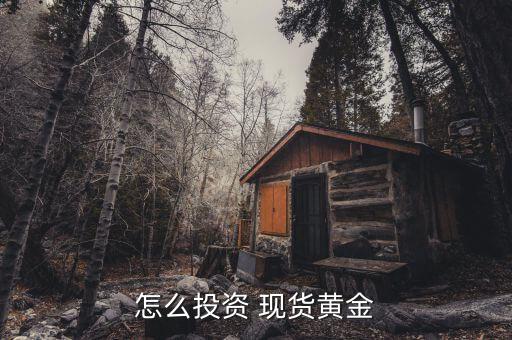 怎么投資 現貨黃金