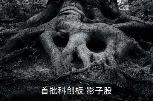 首批科創板 影子股