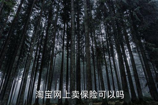  淘寶網上賣保險可以嗎