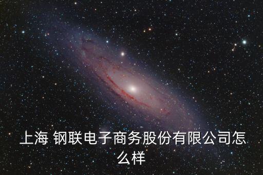  上海 鋼聯電子商務股份有限公司怎么樣