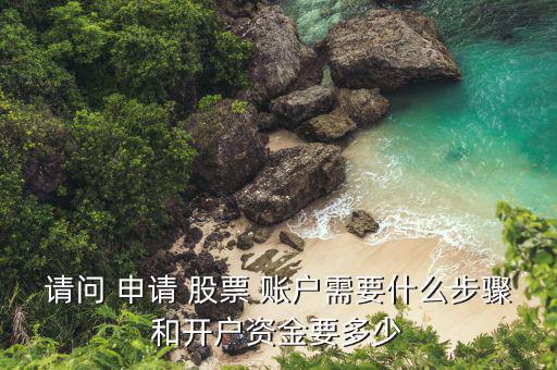 怎么申請(qǐng)股票賬戶,股票賬戶開戶流程:現(xiàn)場開戶和網(wǎng)上開戶