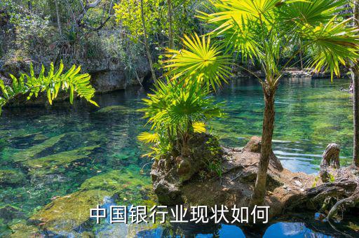 中國銀行業現狀如何