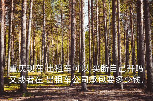 重慶現在 出租車可以 買斷自己開嗎又或者在 出租車公司承包要多少錢...