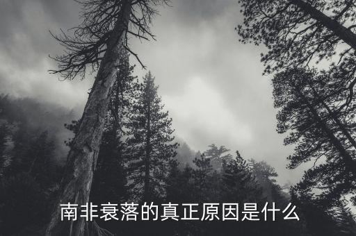 南非經濟怎么樣,南非沒有發達國家要求沒有ore