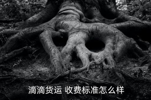 滴滴企業版怎么收費,如何使用滴滴企業edition使用教程