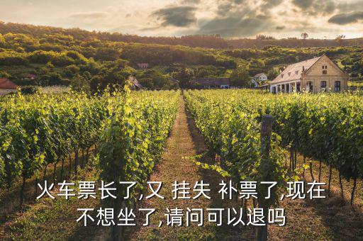 掛失補票怎么退票,檢票時間結束前20分鐘可辦退票手續