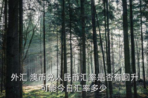 澳幣外匯市場怎么樣,各商業銀行和外匯經紀人經營各種現金