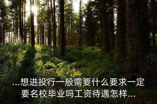 ...想進投行一般需要什么要求一定要名校畢業嗎工資待遇怎樣...