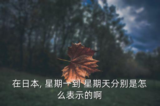韓國怎么稱星期,新加坡人怎么稱呼日環星?