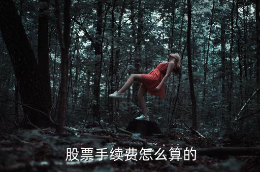  股票手續費怎么算的
