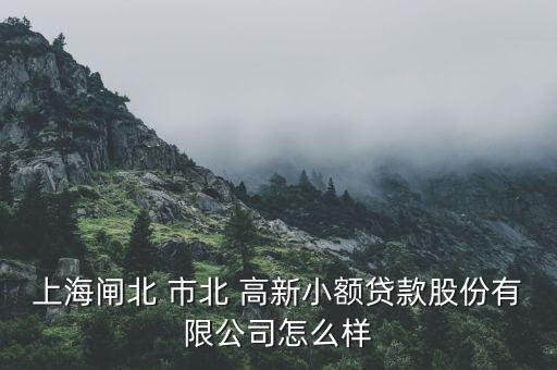 市北高新怎么樣,上海市北高新小額貸款有限公司清理營業執照
