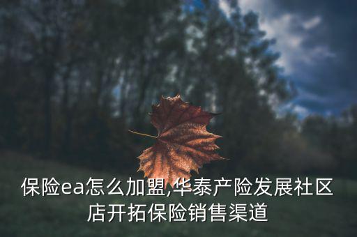華泰保險ea怎么加盟,華泰產險發展社區店開拓保險銷售渠道