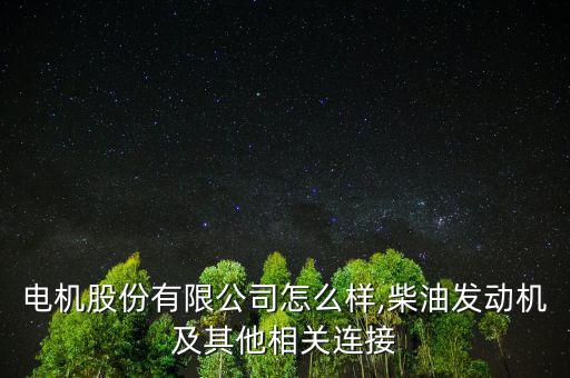 金龍電機股份有限公司怎么樣,柴油發動機及其他相關連接