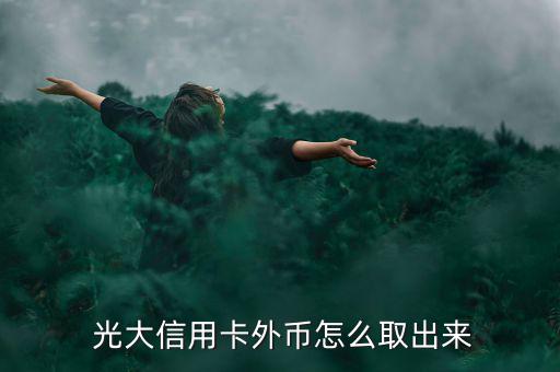光大visa卡怎么取現,光大信用卡境外取現手續費