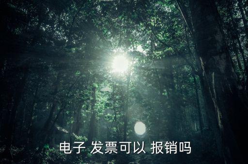  電子 發票可以 報銷嗎