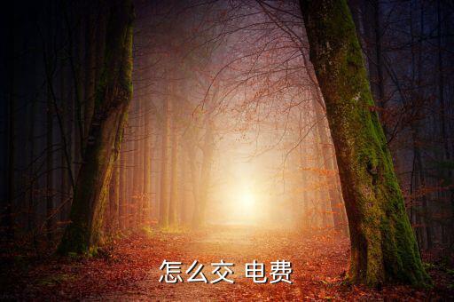 怎么交 電費(fèi)